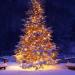 ALBERO NATALE